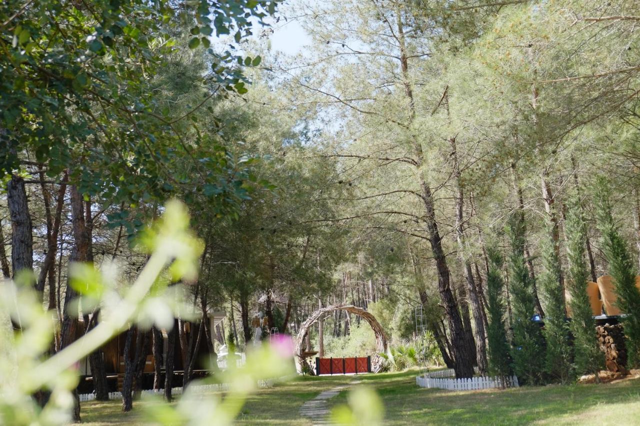 Mossa Afkule Kayakoey Hotel Fethiye Exterior photo